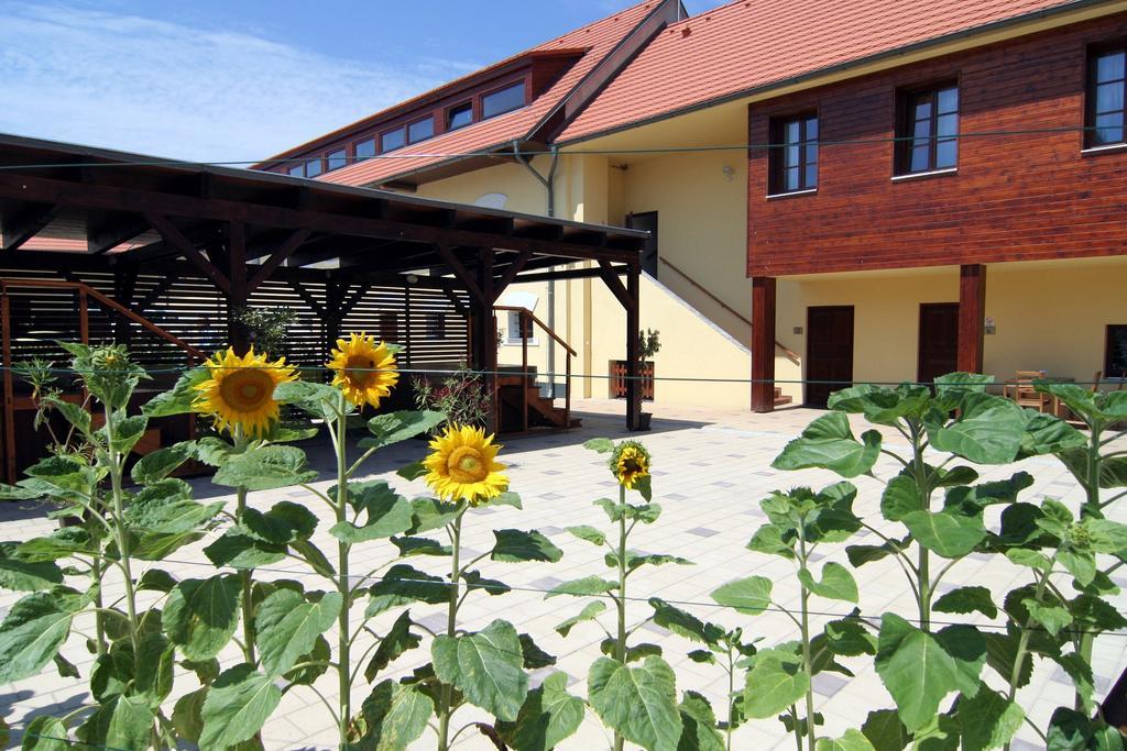 Hotel Pod Sluncem Trebiz Exterior foto